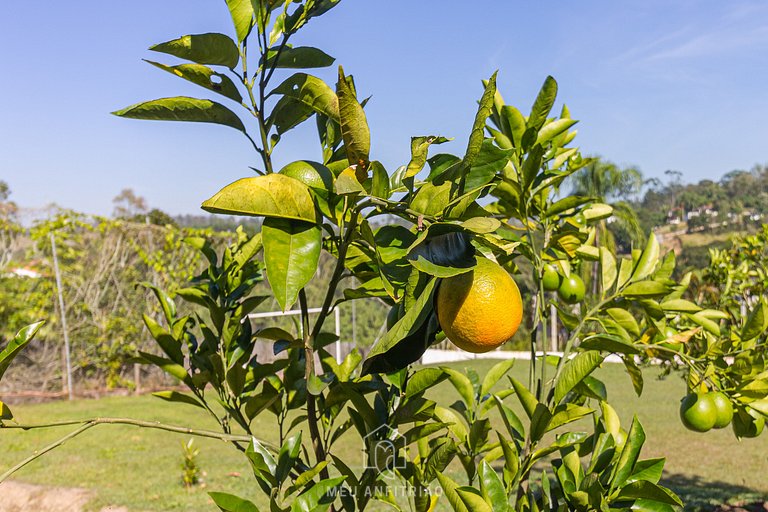 Piscina, jardim, área gourmet e vista arborizada