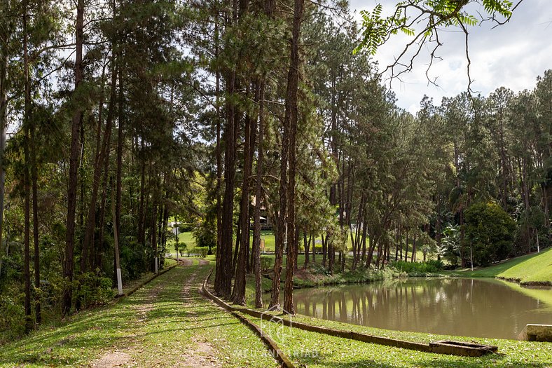 Ranch with pool, wooded area and leisure area