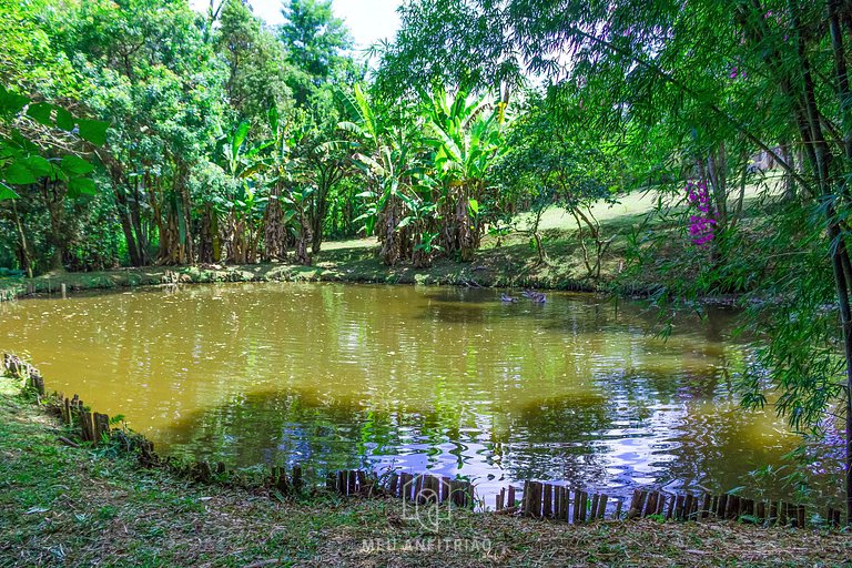 Sítio com piscina, churrasqueira e área arborizada